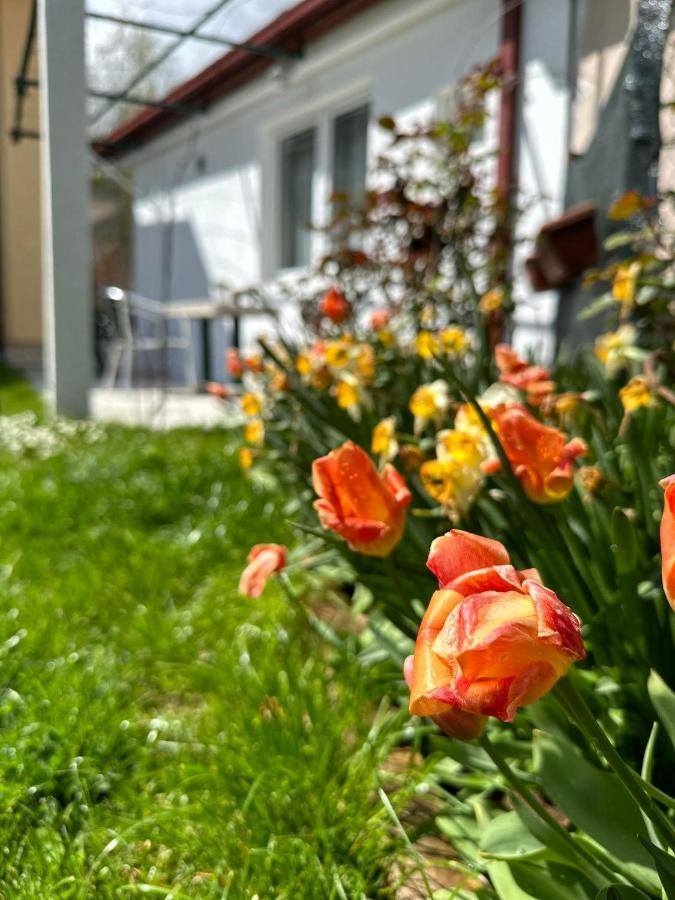 Apartmani Emily & Jully Nikšić Exterior foto